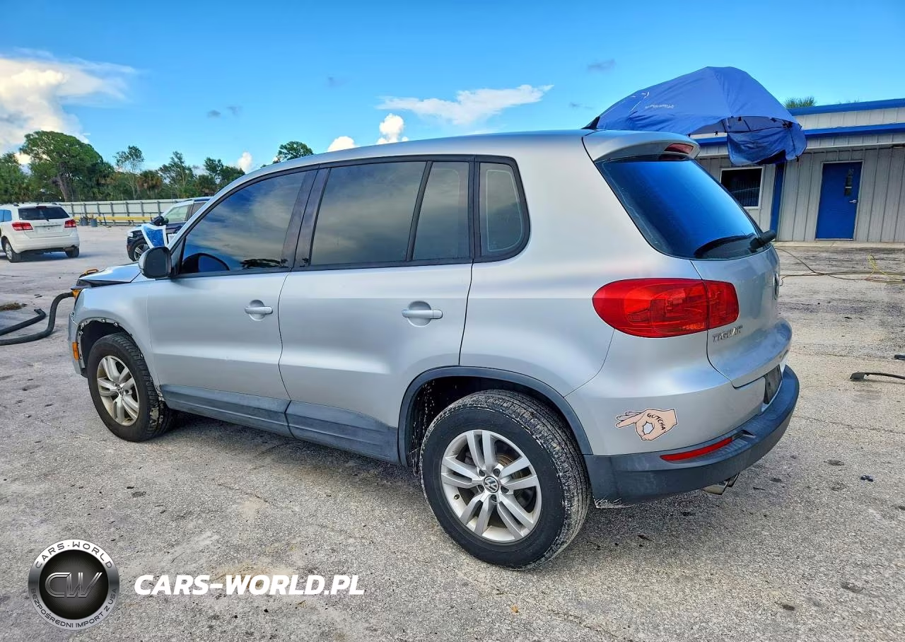 2013 Volkswagen Tiguan S VIN:WVGAV7AX5DW540209 - 2