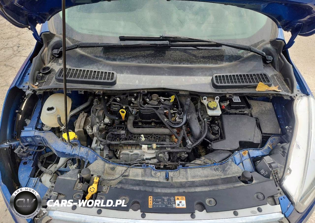 2019 Ford Escape Sel VIN:1FMCU9HD9KUA51839 - 12