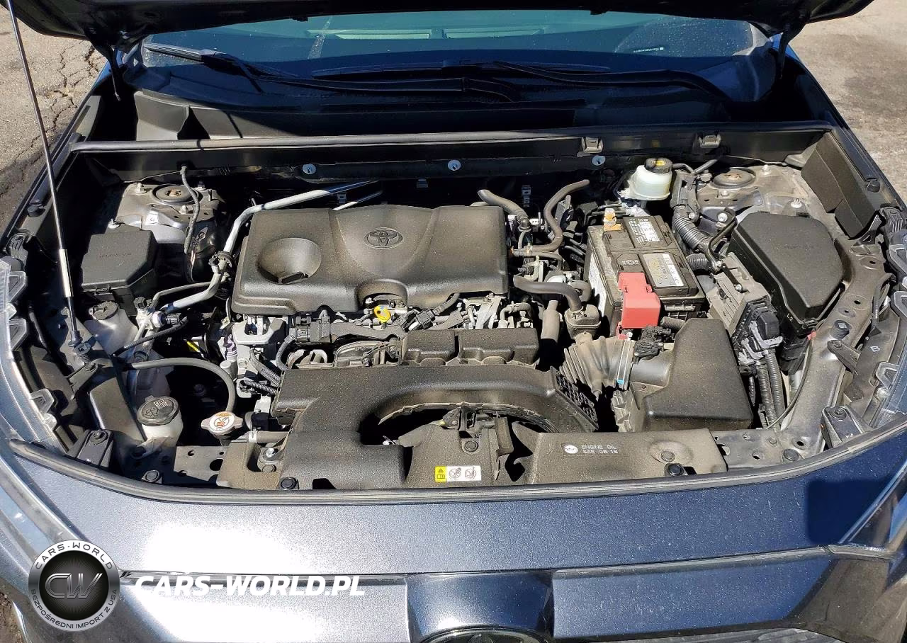 2019 Toyota Rav4 Xle Premium VIN:JTMA1RFV4KD514633 - 12