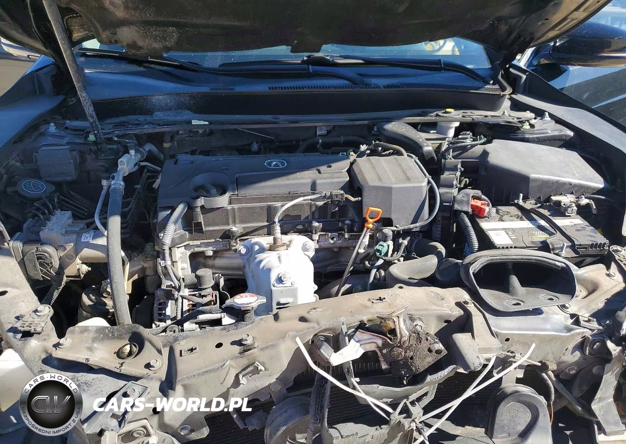 2019 Acura Tlx VIN:19UUB1F38KA007506 - 11