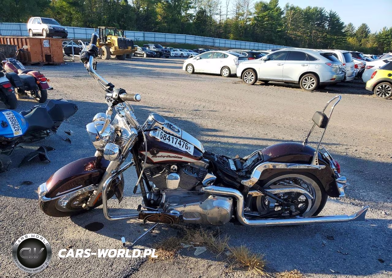 2006 Harley-Davidson Flsti VIN:1HD1JFB196Y028012 - 3