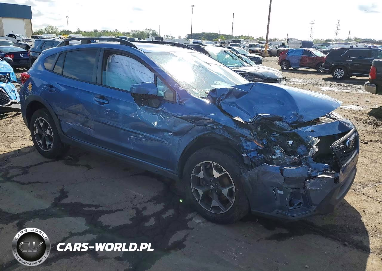 2019 Subaru Crosstrek Premium VIN:JF2GTAEC8KH356555 - 4