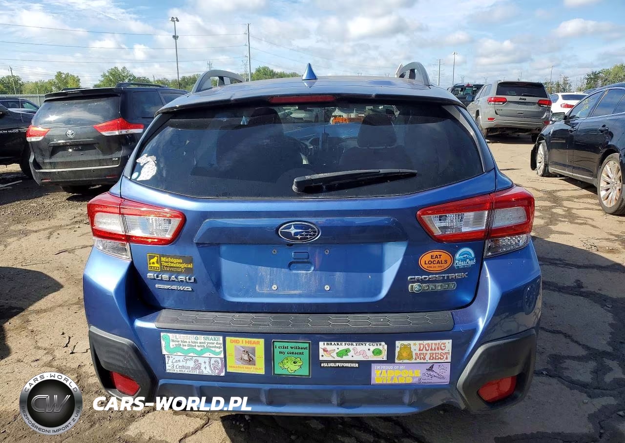 2019 Subaru Crosstrek Premium VIN:JF2GTAEC8KH356555 - 6