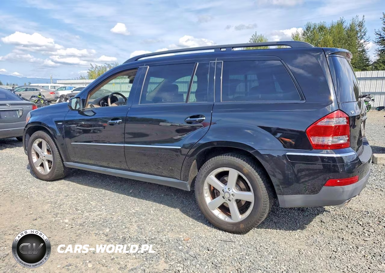 2009 Mercedes-Benz Gl VIN:4JGBF25E99A482235 - 2