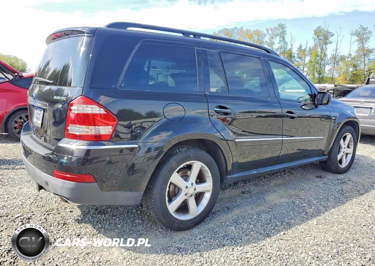 2009 Mercedes-Benz Gl VIN:4JGBF25E99A482235 - 3