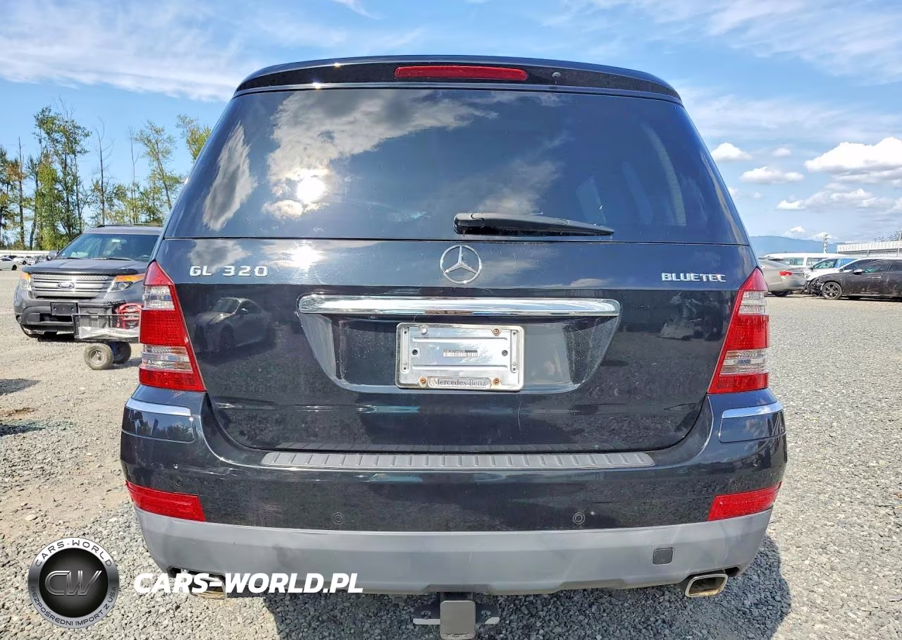 2009 Mercedes-Benz Gl VIN:4JGBF25E99A482235 - 6