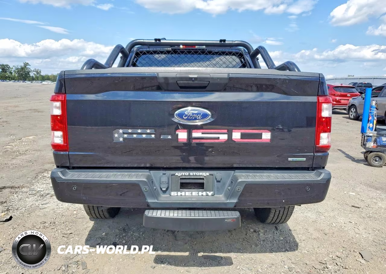 2021 Ford F150 Supercrew VIN:1FTEW1EP8MKE34645 - 6