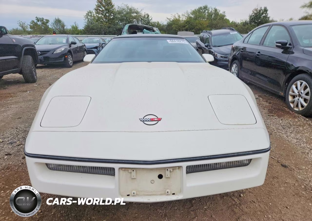 1985 Chevrolet Corvette VIN:1G1YY0784F5131850 - 5