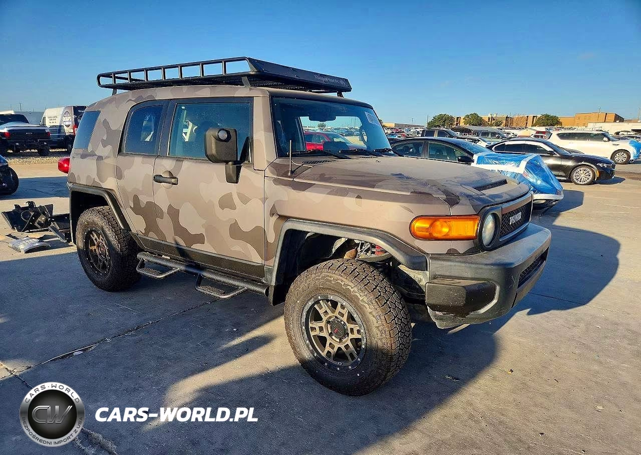 2010 Toyota Fj Cruiser Base VIN:JTEZU4BF3AK010611 - 4