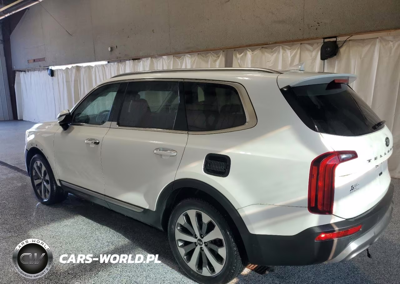 2020 Kia Telluride S VIN:5XYP64HC4LG007101 - 2