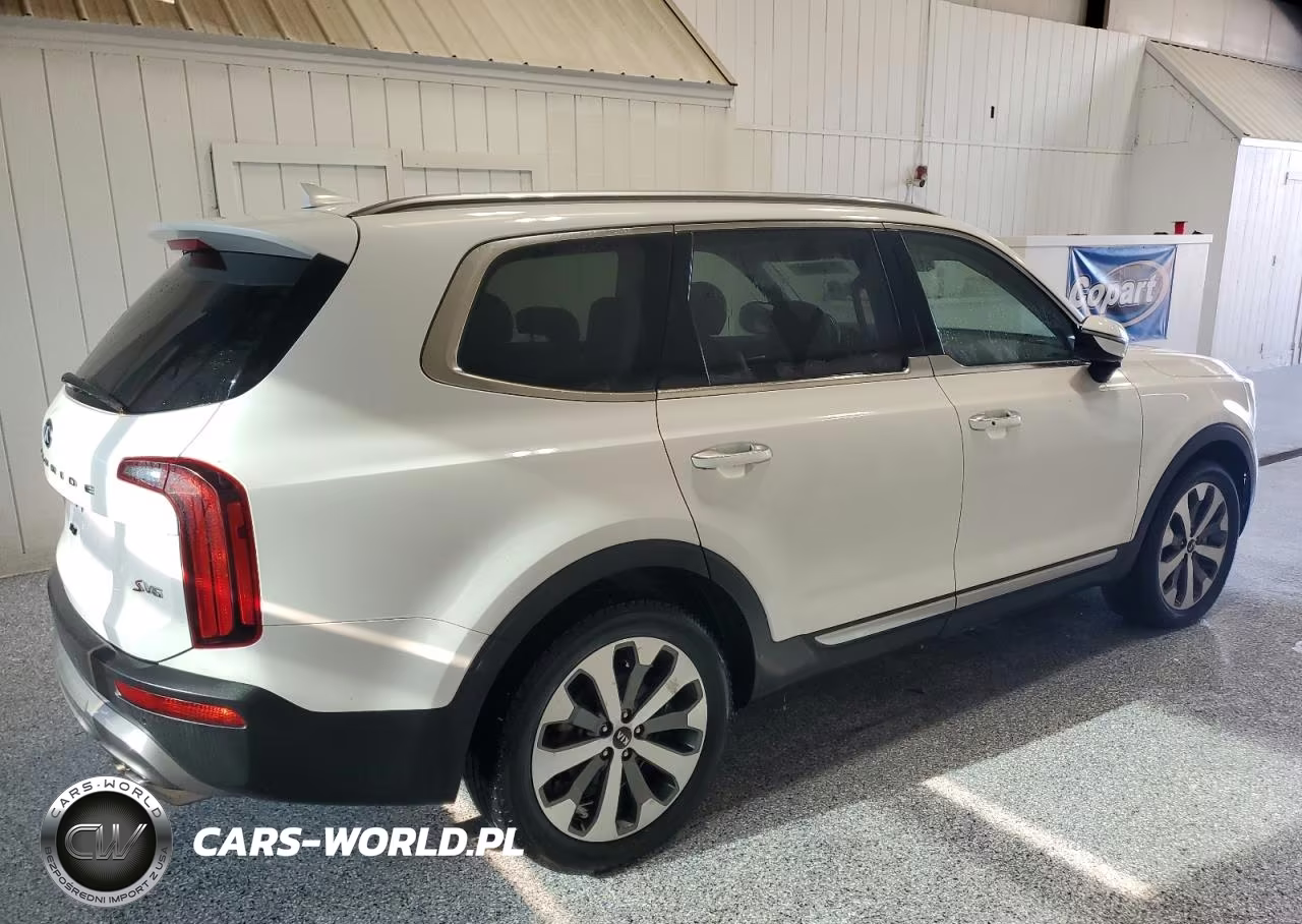 2020 Kia Telluride S VIN:5XYP64HC4LG007101 - 3