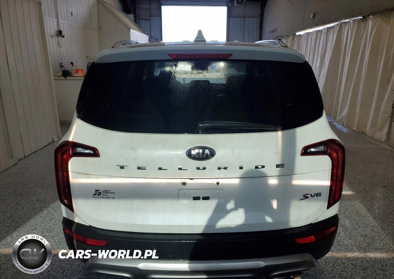 2020 Kia Telluride S VIN:5XYP64HC4LG007101 - 6