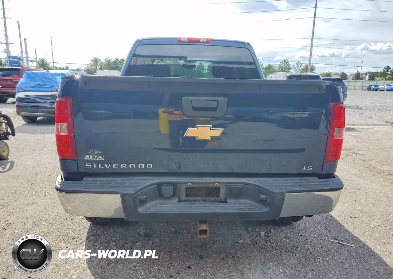 2010 Chevrolet Silverado K1500 Ls VIN:3GCRKREA7AG109575 - 6