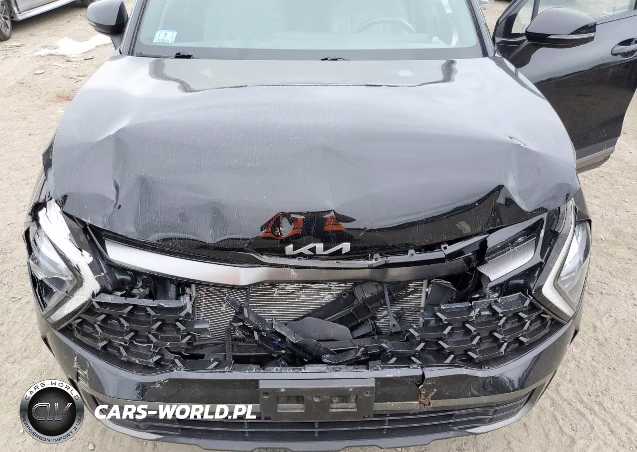 2023 Kia Sportage X Line VIN:5XYK6CAF6PG090061 - 12