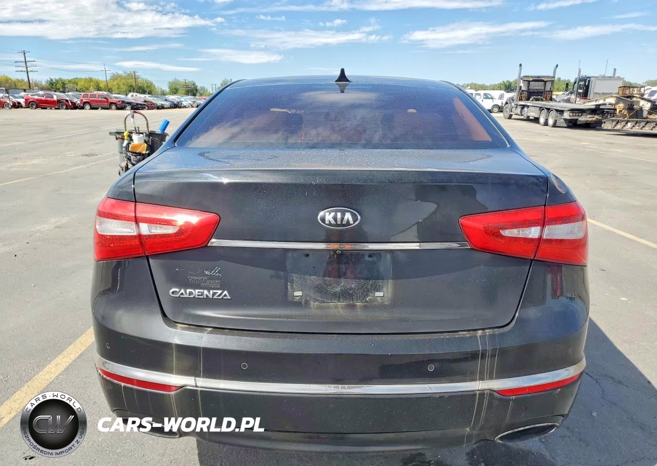 2016 Kia Cadenza Luxury VIN:KNALN4D72G5215483 - 6