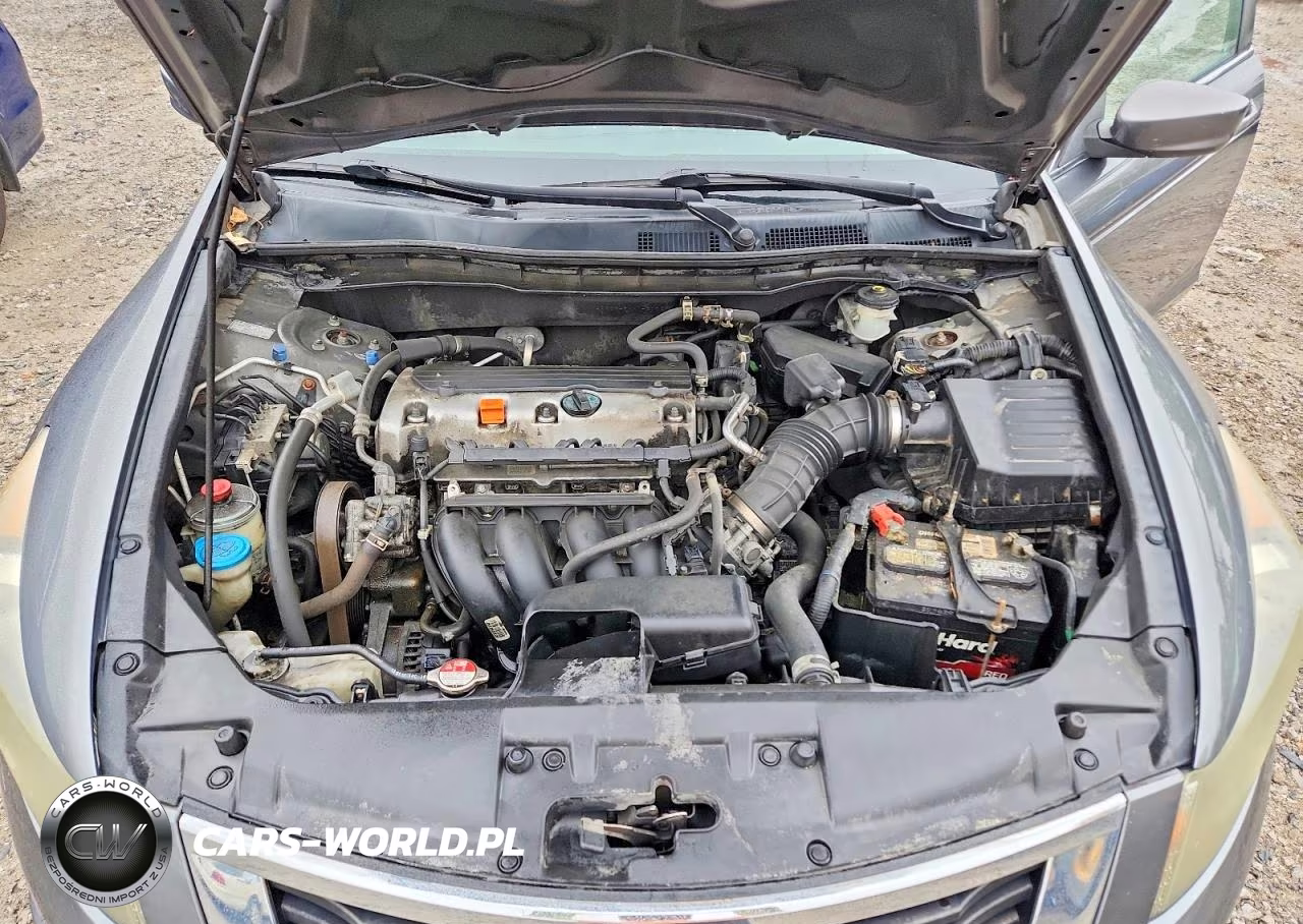 2010 Honda Accord Lxp VIN:1HGCP2F49AA148062 - 11
