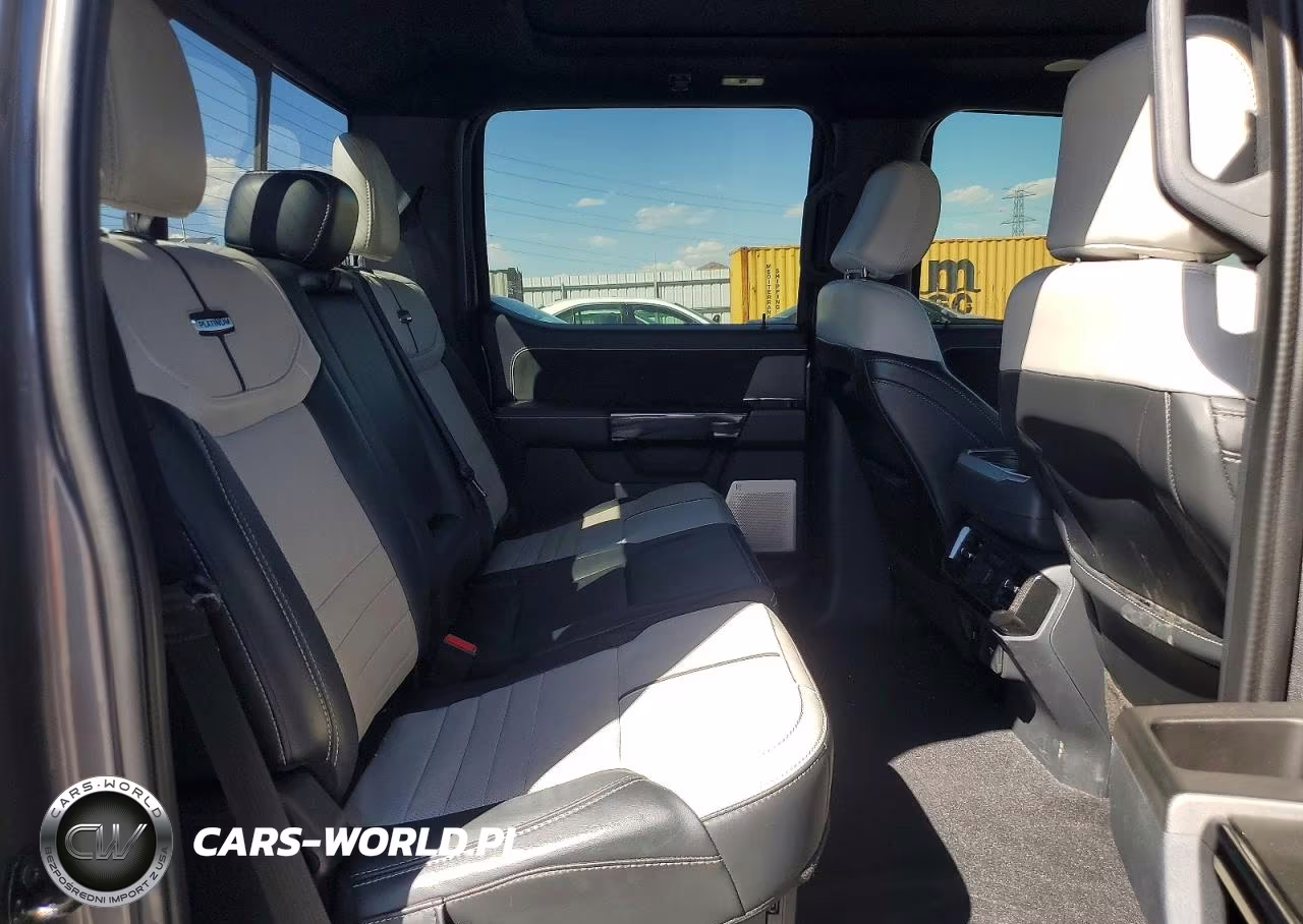 2023 Ford F150 Lightning Pro VIN:1FT6W1EV7PWG16482 - 10