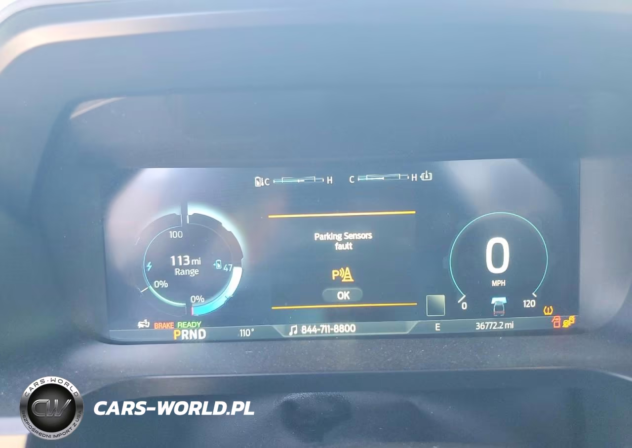 2023 Ford F150 Lightning Pro VIN:1FT6W1EV7PWG16482 - 9