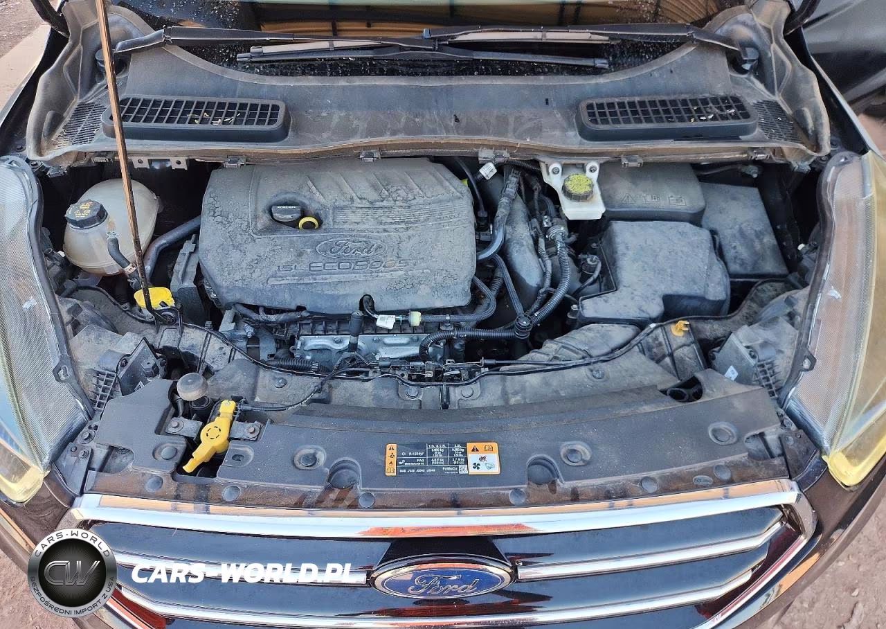 2017 Ford Escape Titanium VIN:1FMCU0JDXHUE66313 - 12