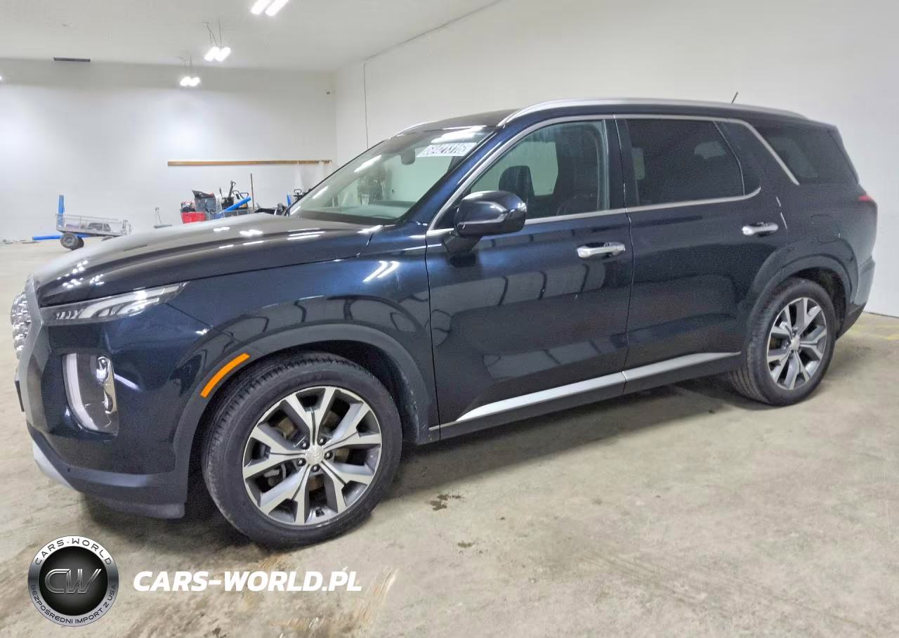 2020 Hyundai Palisade Sel VIN:KM8R44HE3LU090868 - 1