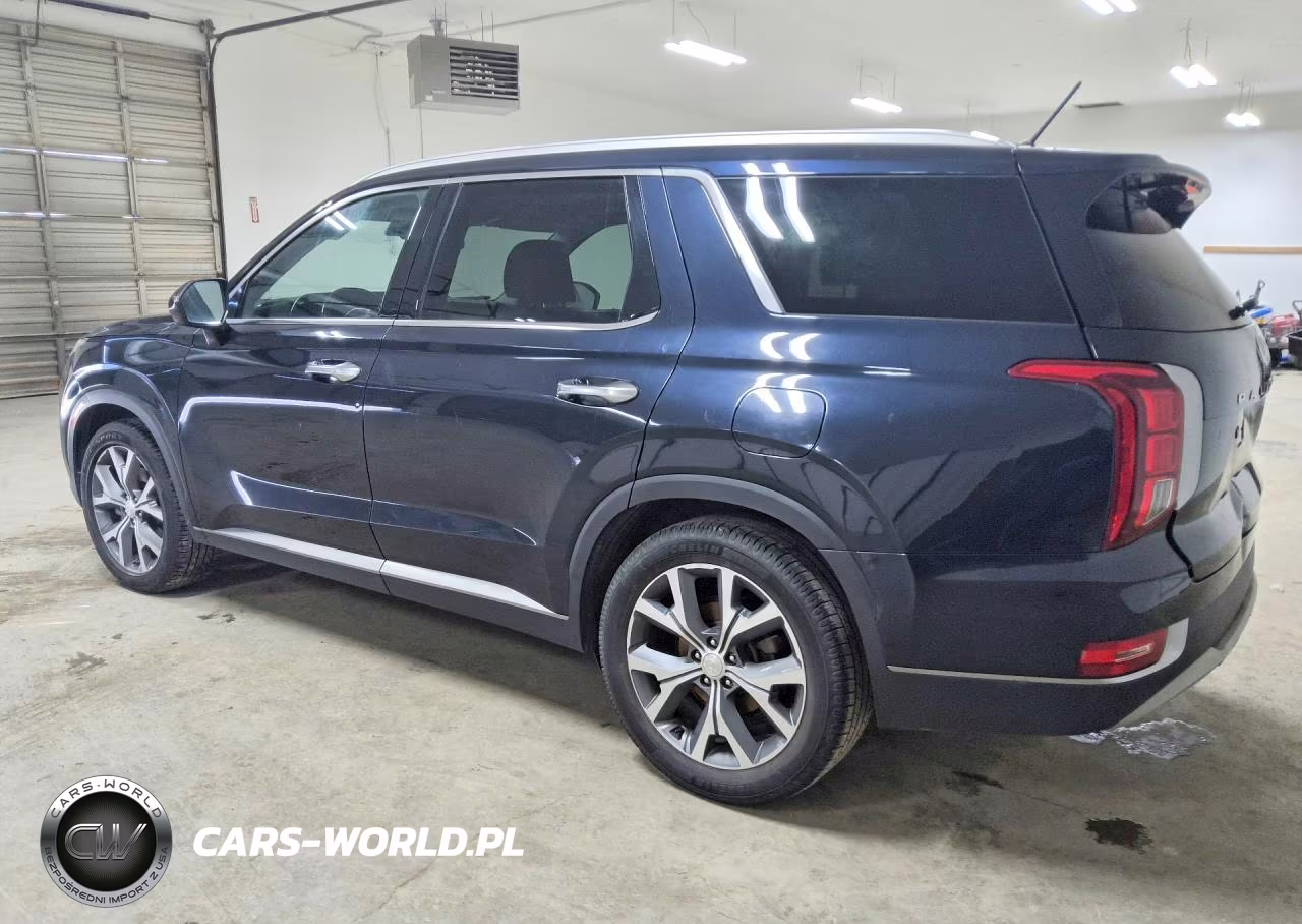 2020 Hyundai Palisade Sel VIN:KM8R44HE3LU090868 - 2
