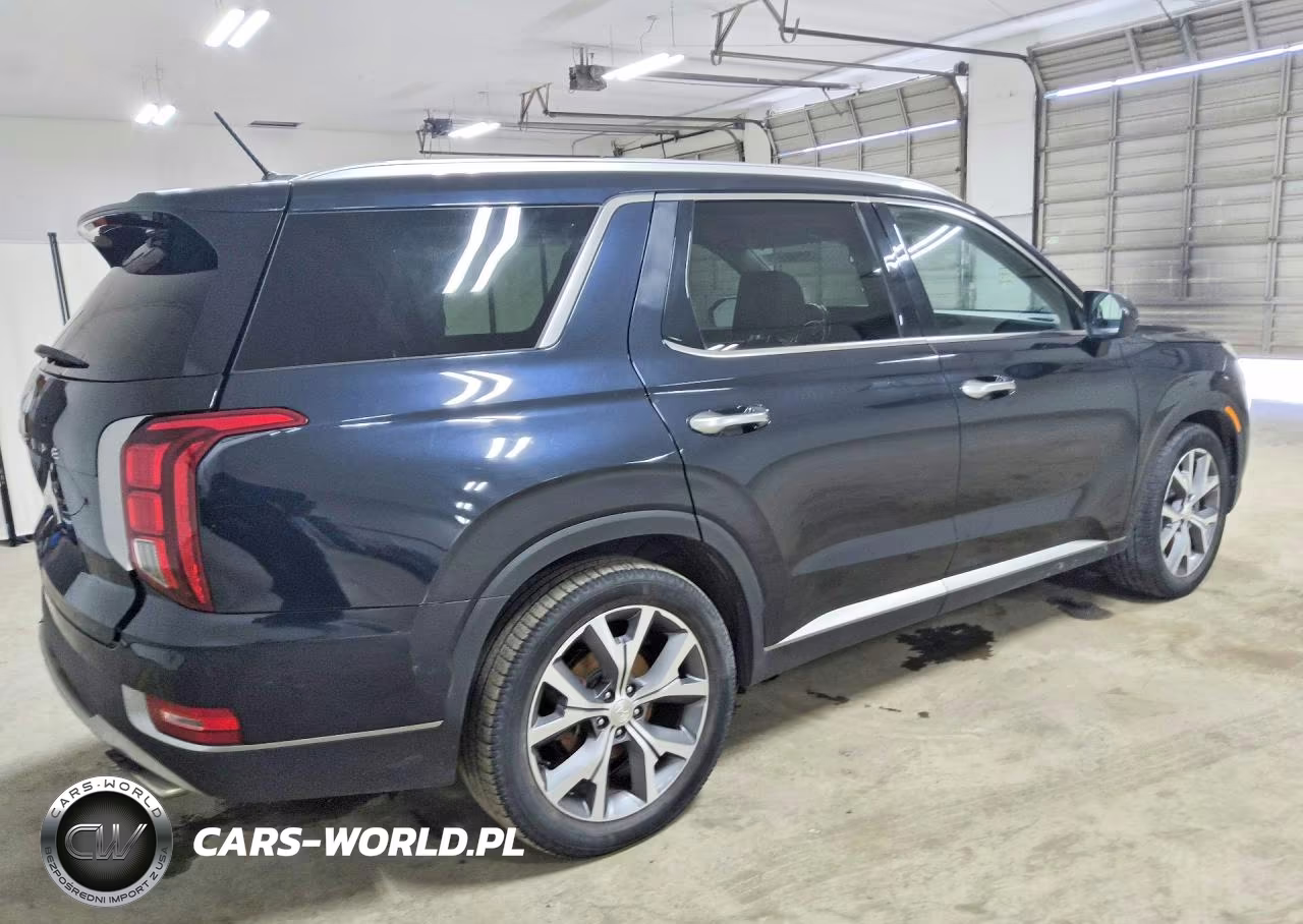 2020 Hyundai Palisade Sel VIN:KM8R44HE3LU090868 - 3