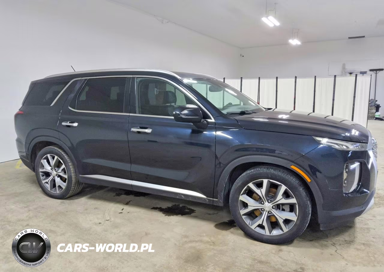 2020 Hyundai Palisade Sel VIN:KM8R44HE3LU090868 - 4