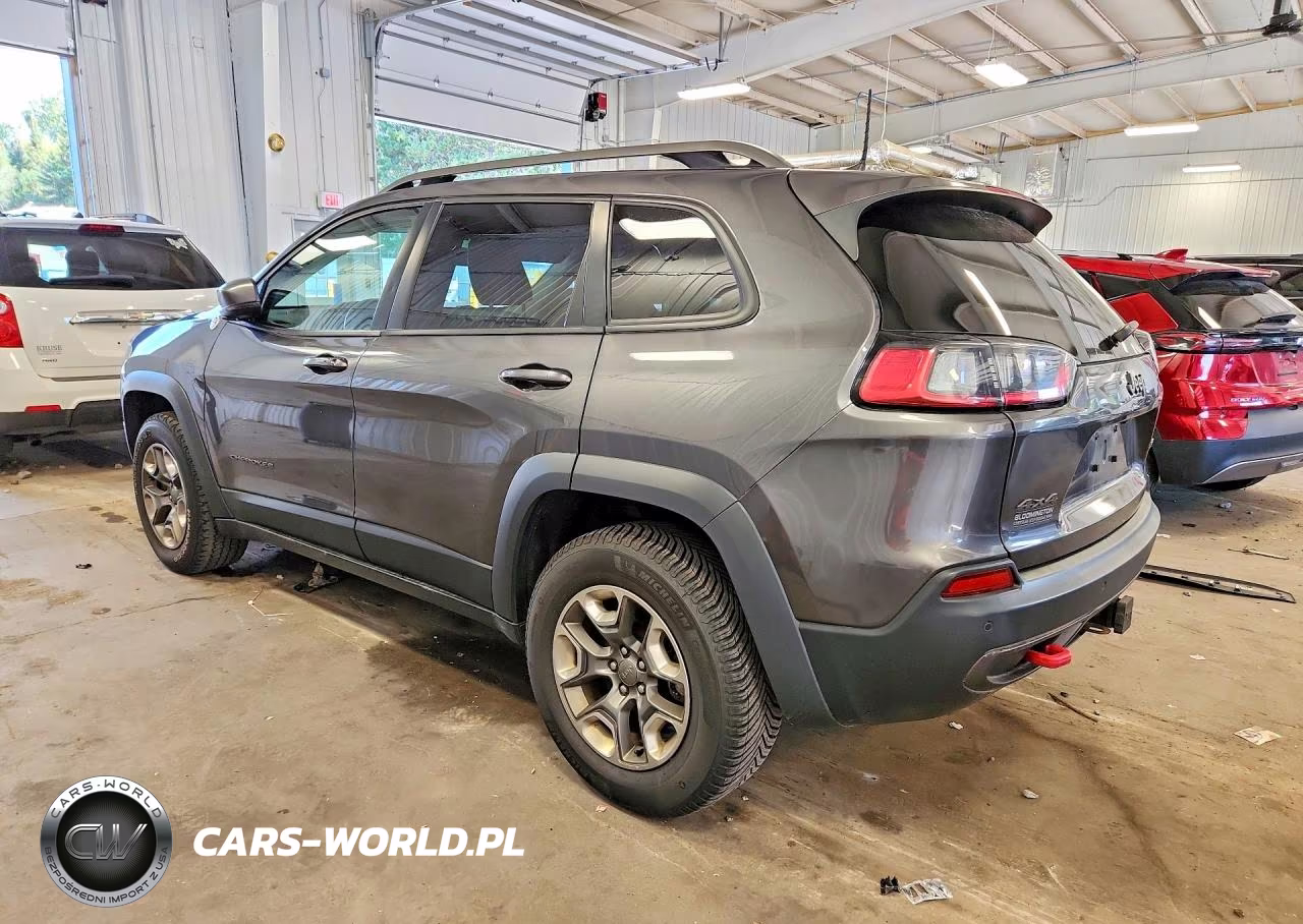 2019 Jeep Cherokee Trailhawk VIN:1C4PJMBN2KD207657 - 2