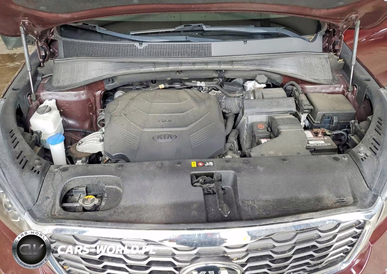 2019 Kia Sorento Ex V6 VIN:5XYPHDA59KG463678 - 12