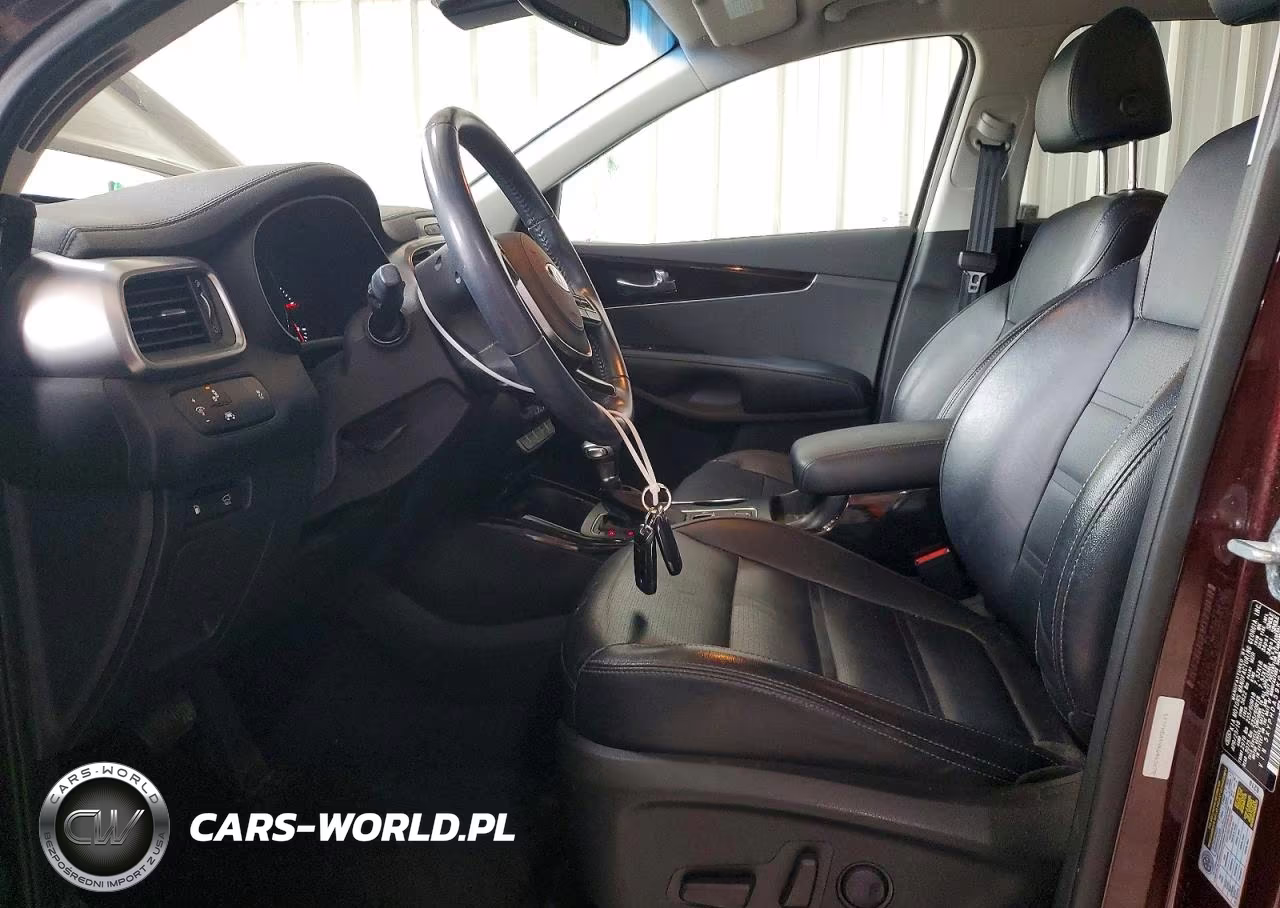 2019 Kia Sorento Ex V6 VIN:5XYPHDA59KG463678 - 7