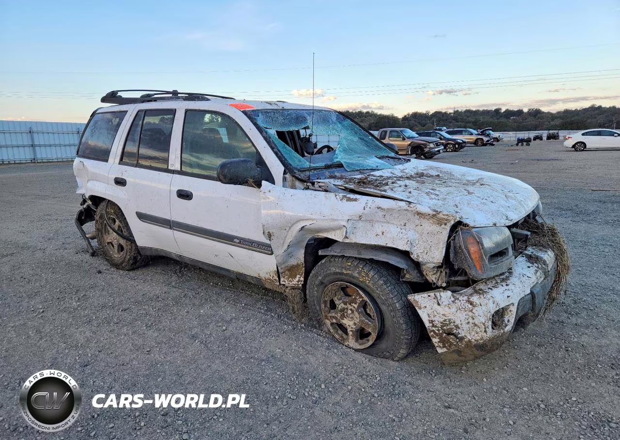 2002 Chevrolet Trailblazer VIN:1GNDS13S922190149 - 4