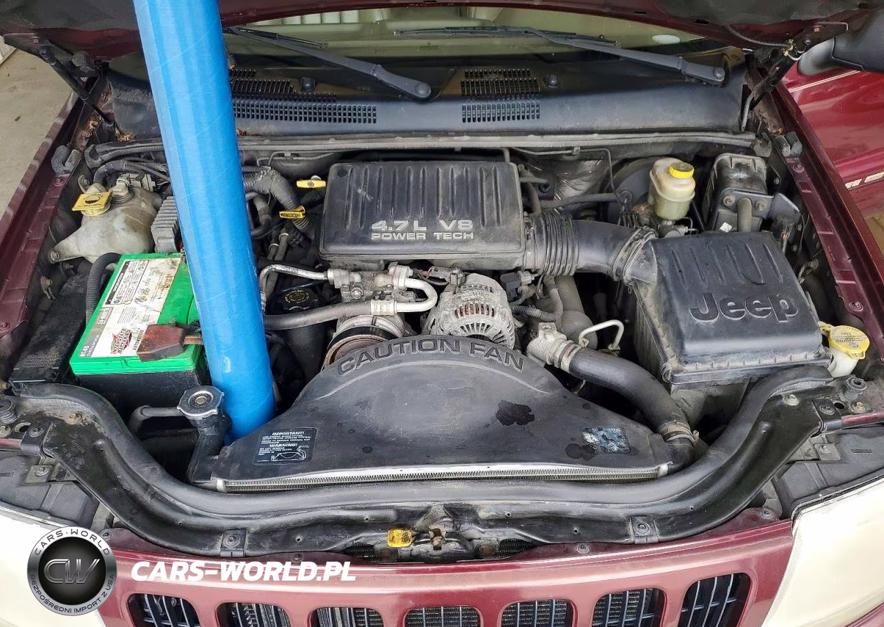 1999 Jeep Grand Cherokee Limited VIN:1J4GW68N5XC654138 - 12
