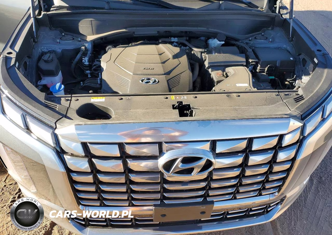 2024 Hyundai Palisade Calligraphy VIN:KM8R7DGE5RU731472 - 12