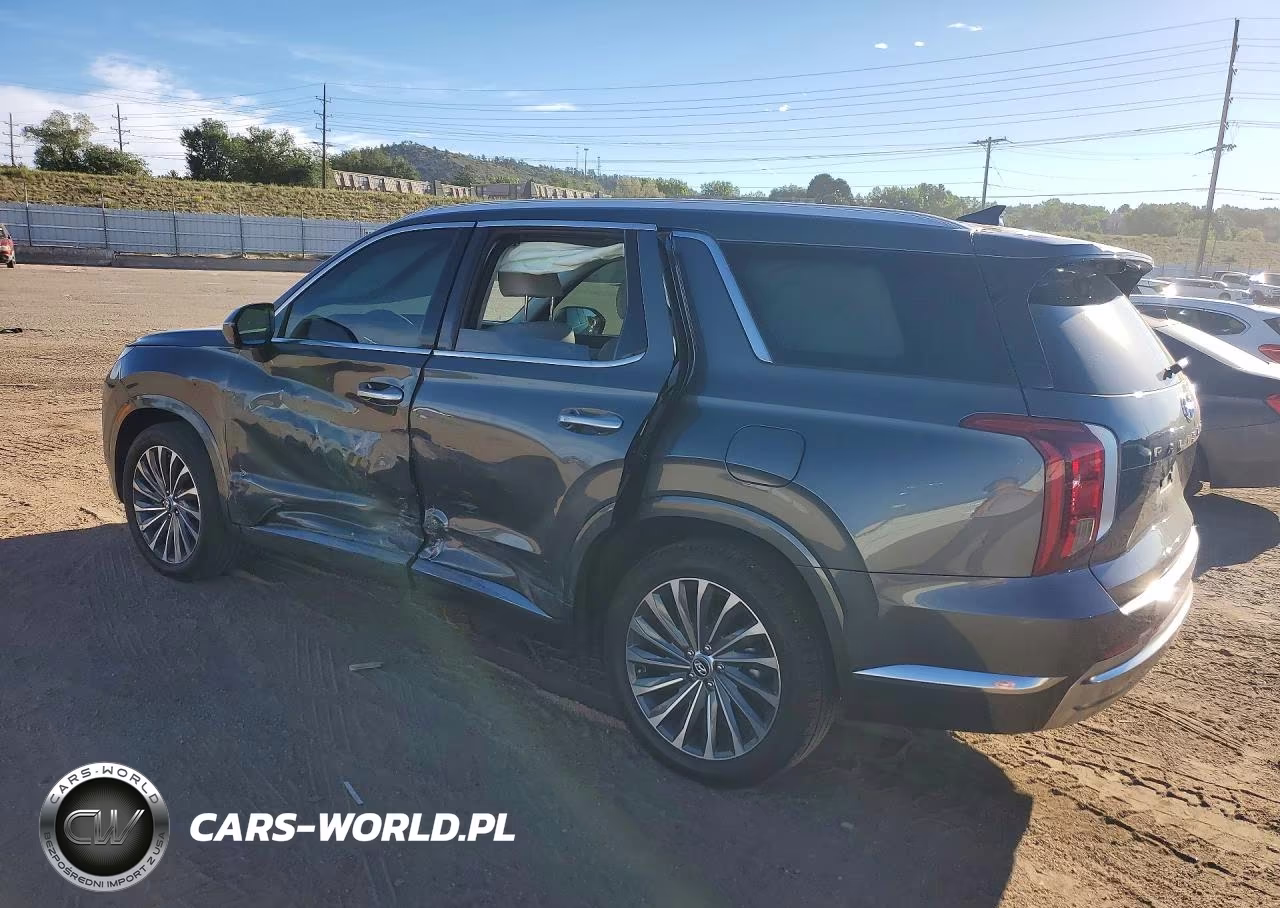 2024 Hyundai Palisade Calligraphy VIN:KM8R7DGE5RU731472 - 2