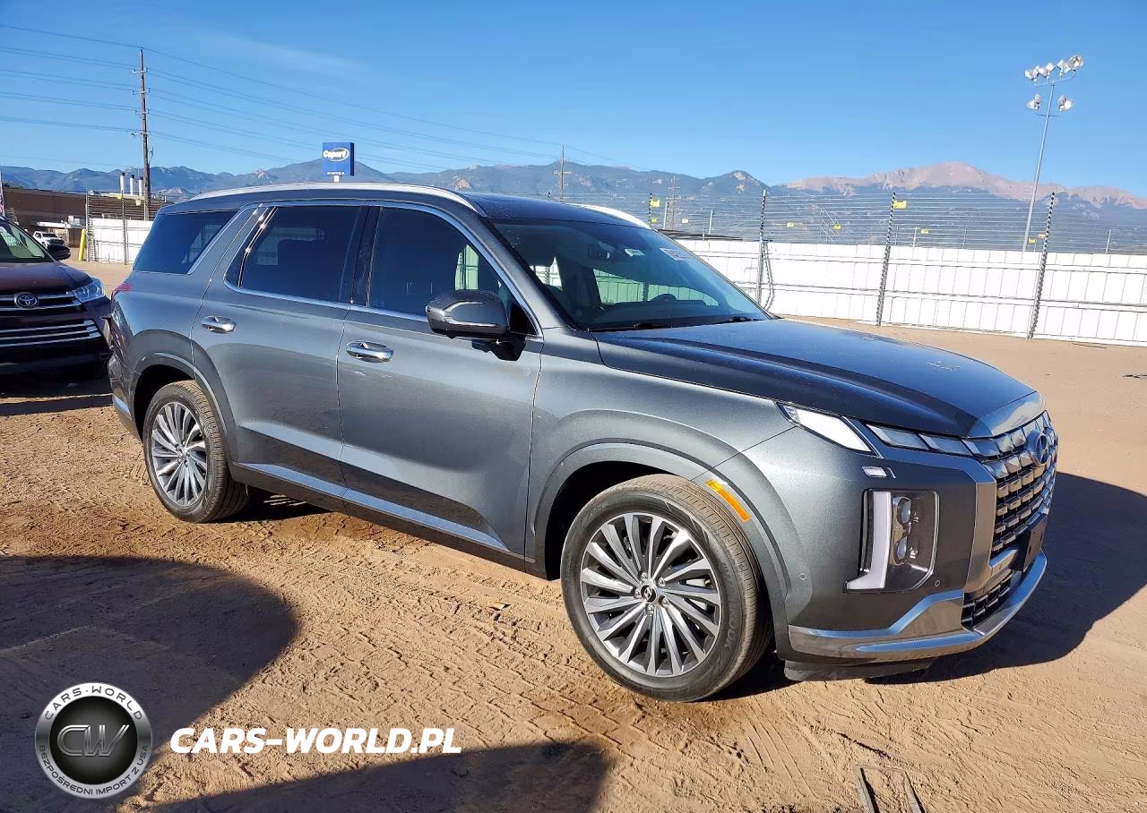 2024 Hyundai Palisade Calligraphy VIN:KM8R7DGE5RU731472 - 4