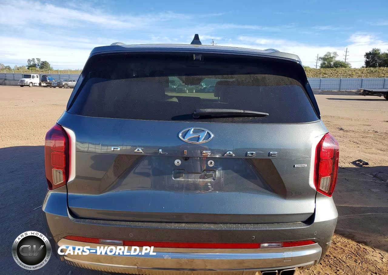 2024 Hyundai Palisade Calligraphy VIN:KM8R7DGE5RU731472 - 6