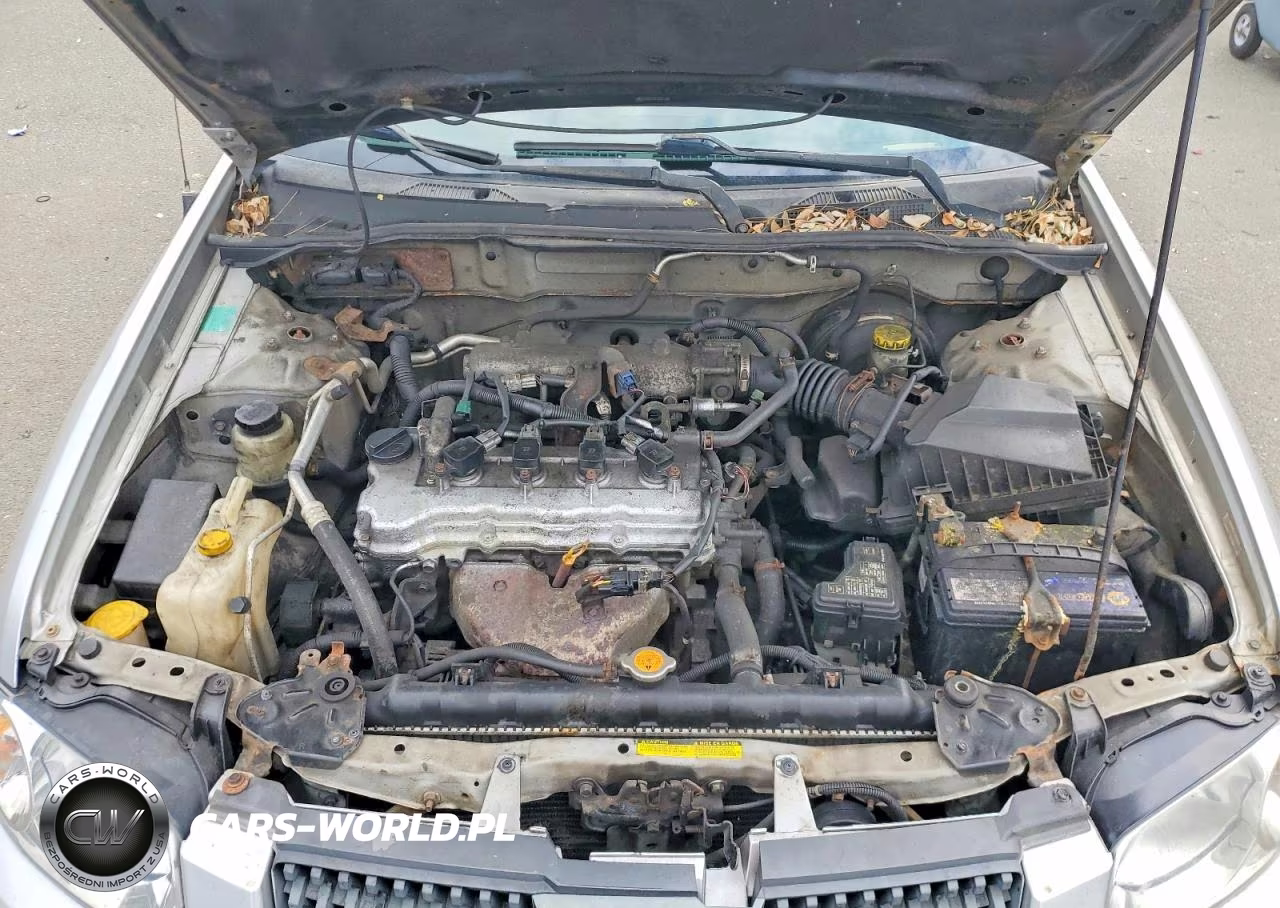 2006 Nissan Sentra 1.8 VIN:3N1CB51D06L522437 - 11