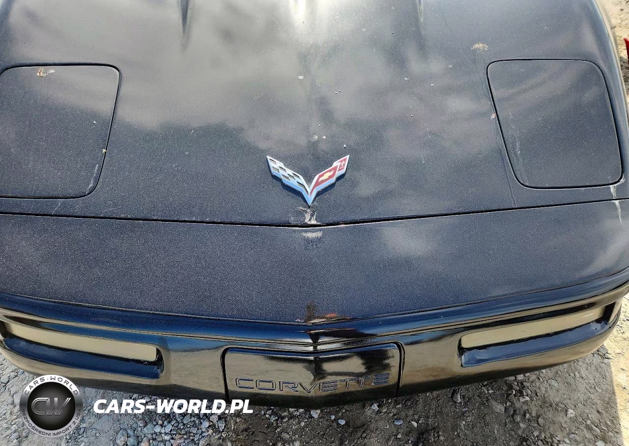 1992 Chevrolet Corvette VIN:1G1YY23P4N5102730 - 11