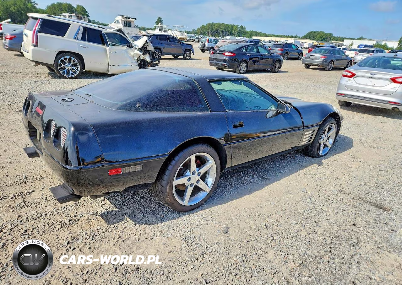1992 Chevrolet Corvette VIN:1G1YY23P4N5102730 - 3