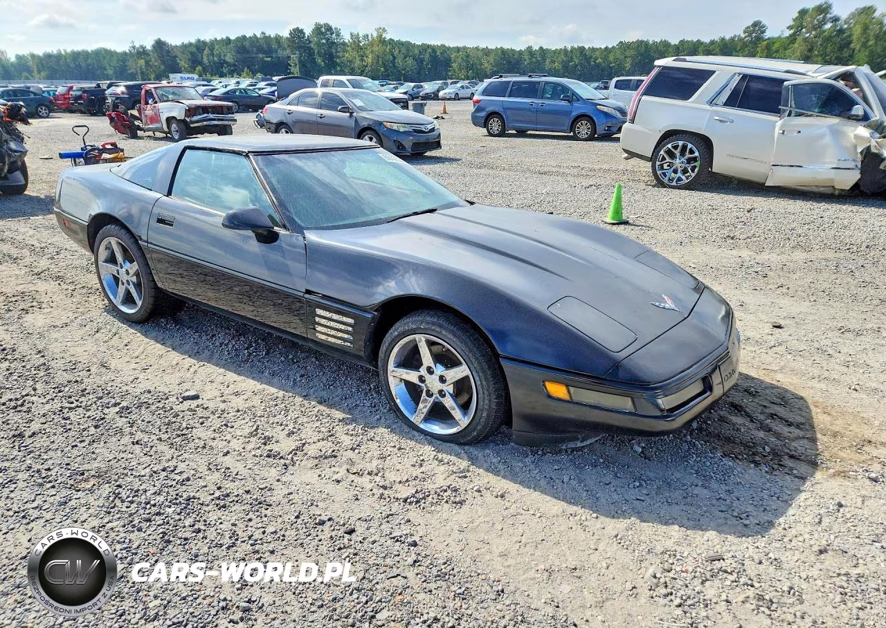 1992 Chevrolet Corvette VIN:1G1YY23P4N5102730 - 4