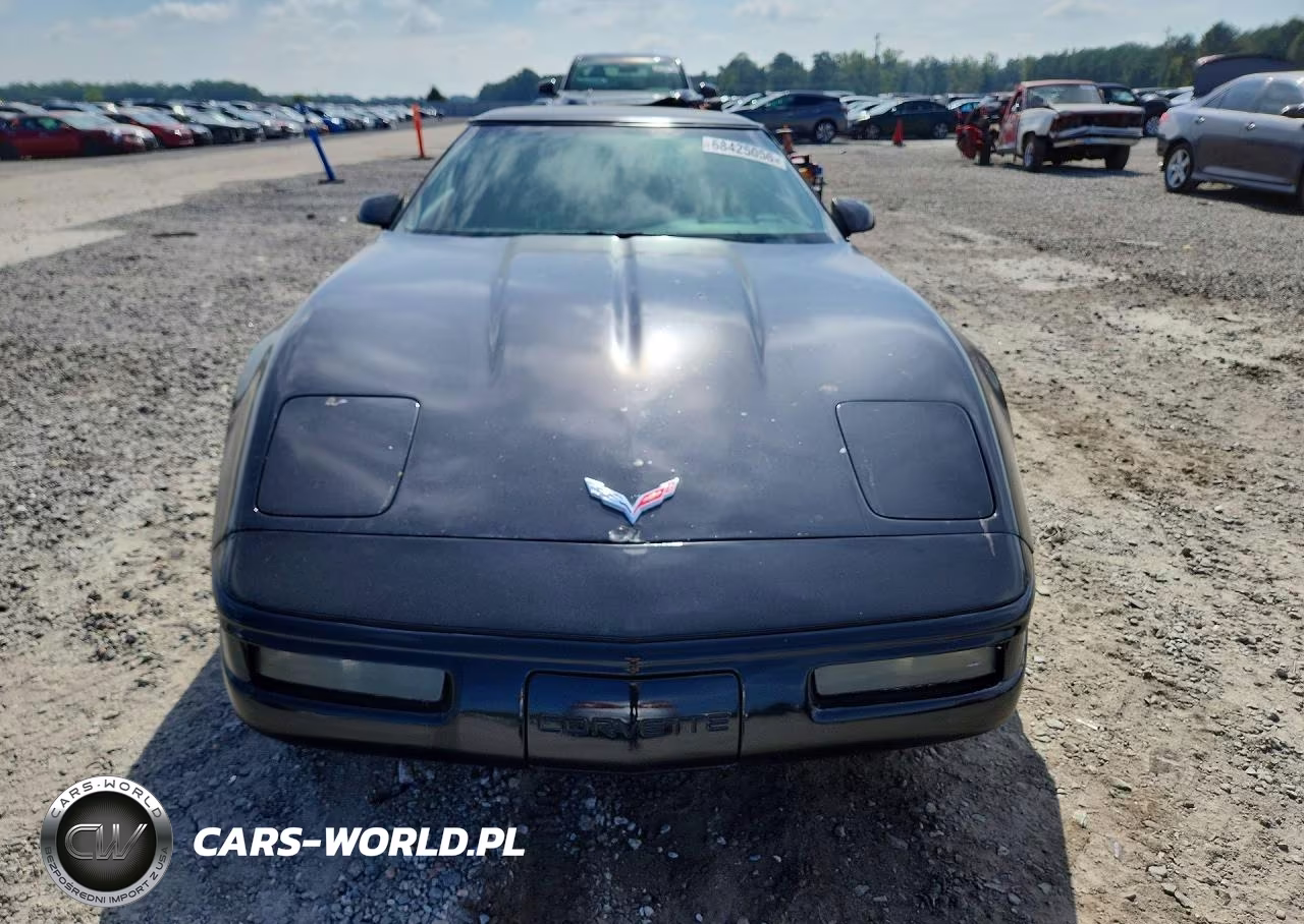 1992 Chevrolet Corvette VIN:1G1YY23P4N5102730 - 5