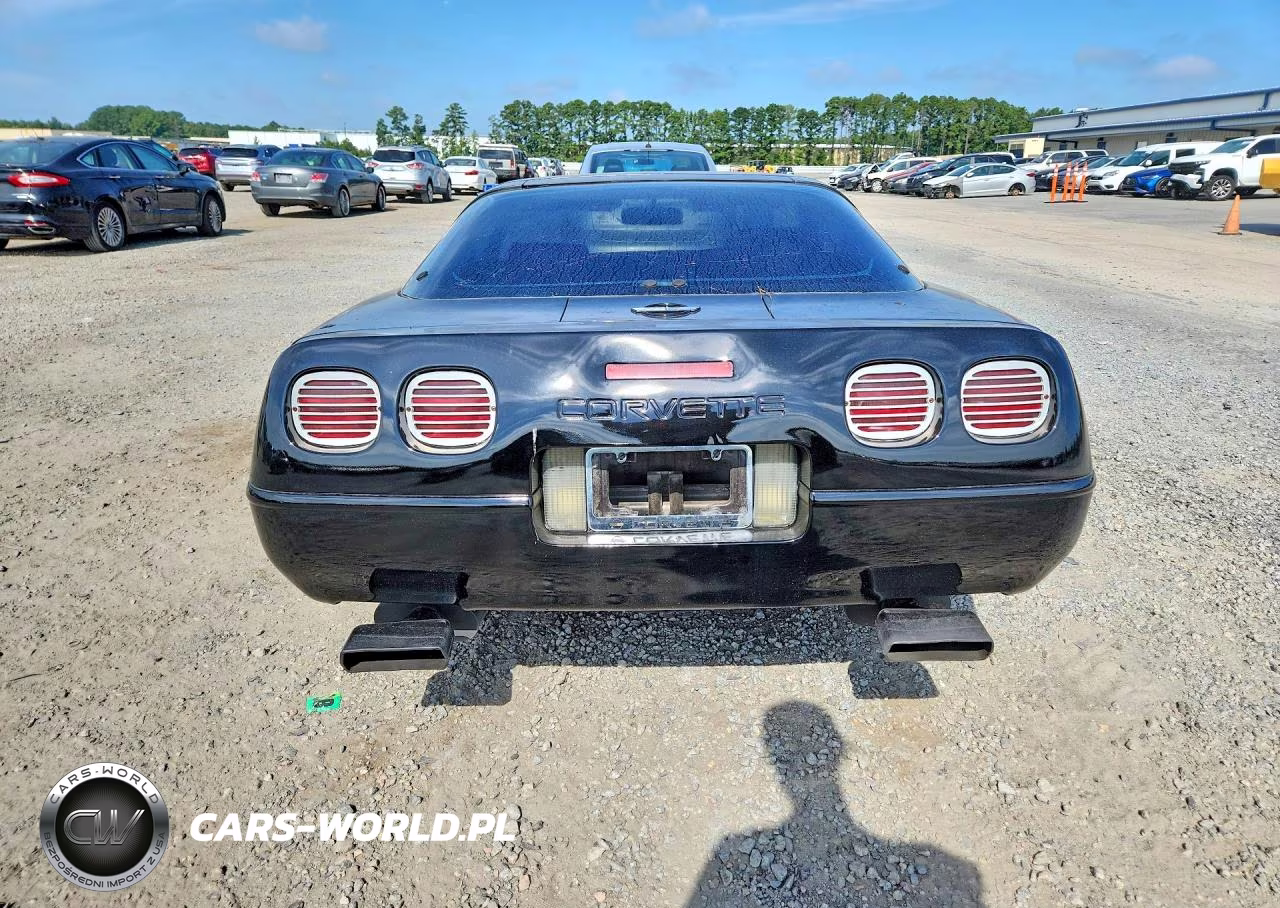 1992 Chevrolet Corvette VIN:1G1YY23P4N5102730 - 6