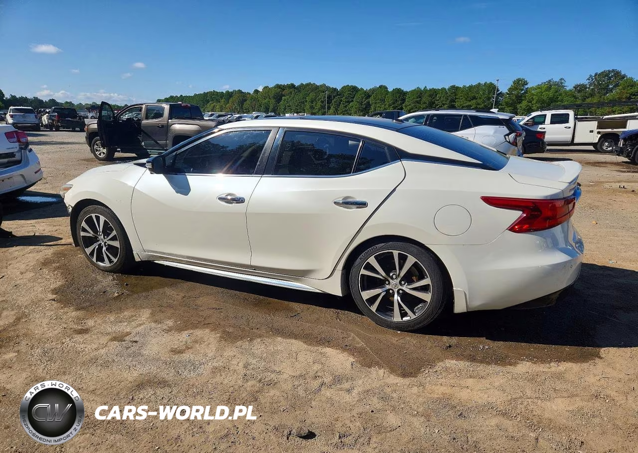 2017 Nissan Maxima Platinum VIN:1N4AA6AP4HC419288 - 2