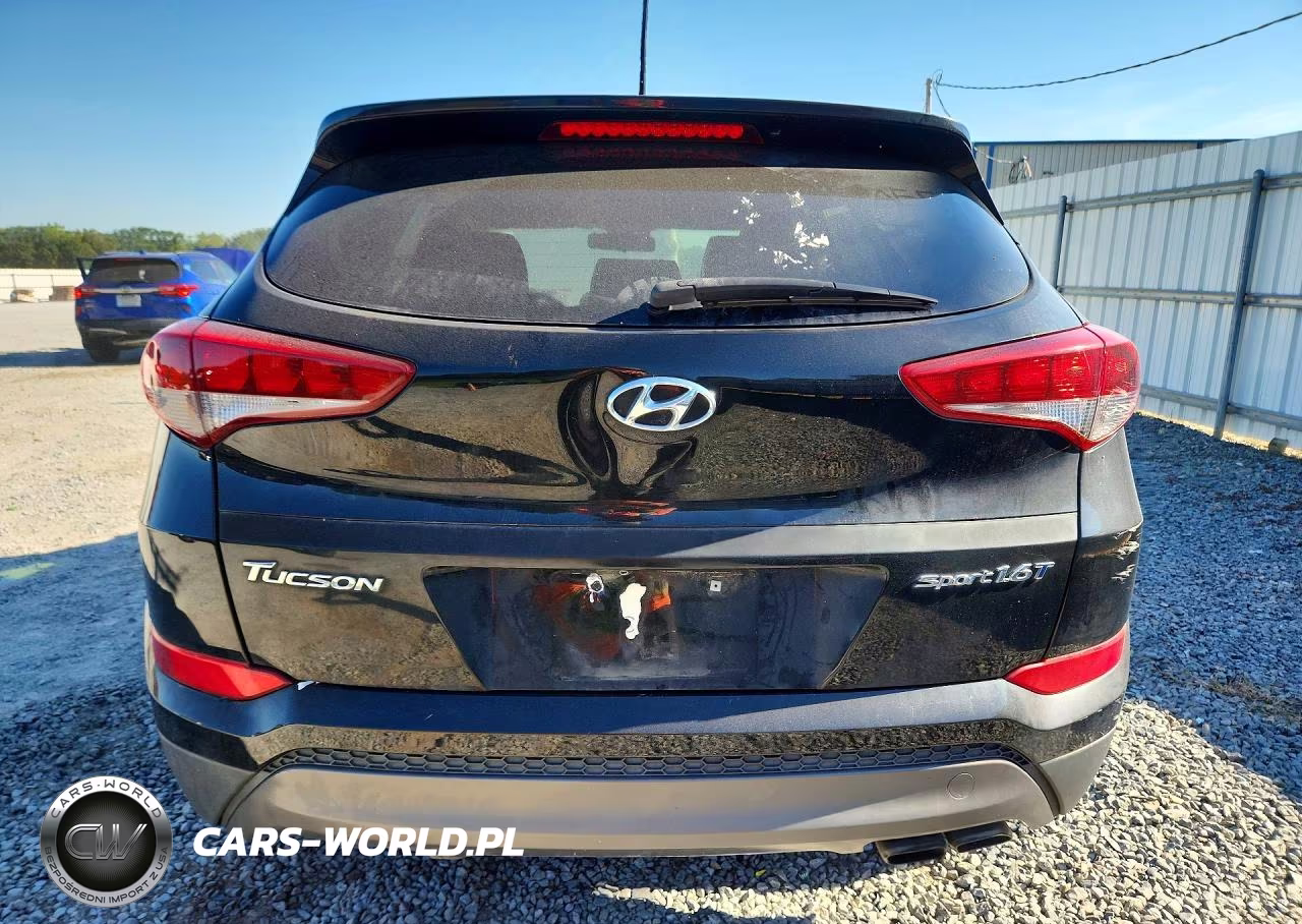2016 Hyundai Tucson Sport VIN:KM8J33A26GU057671 - 6