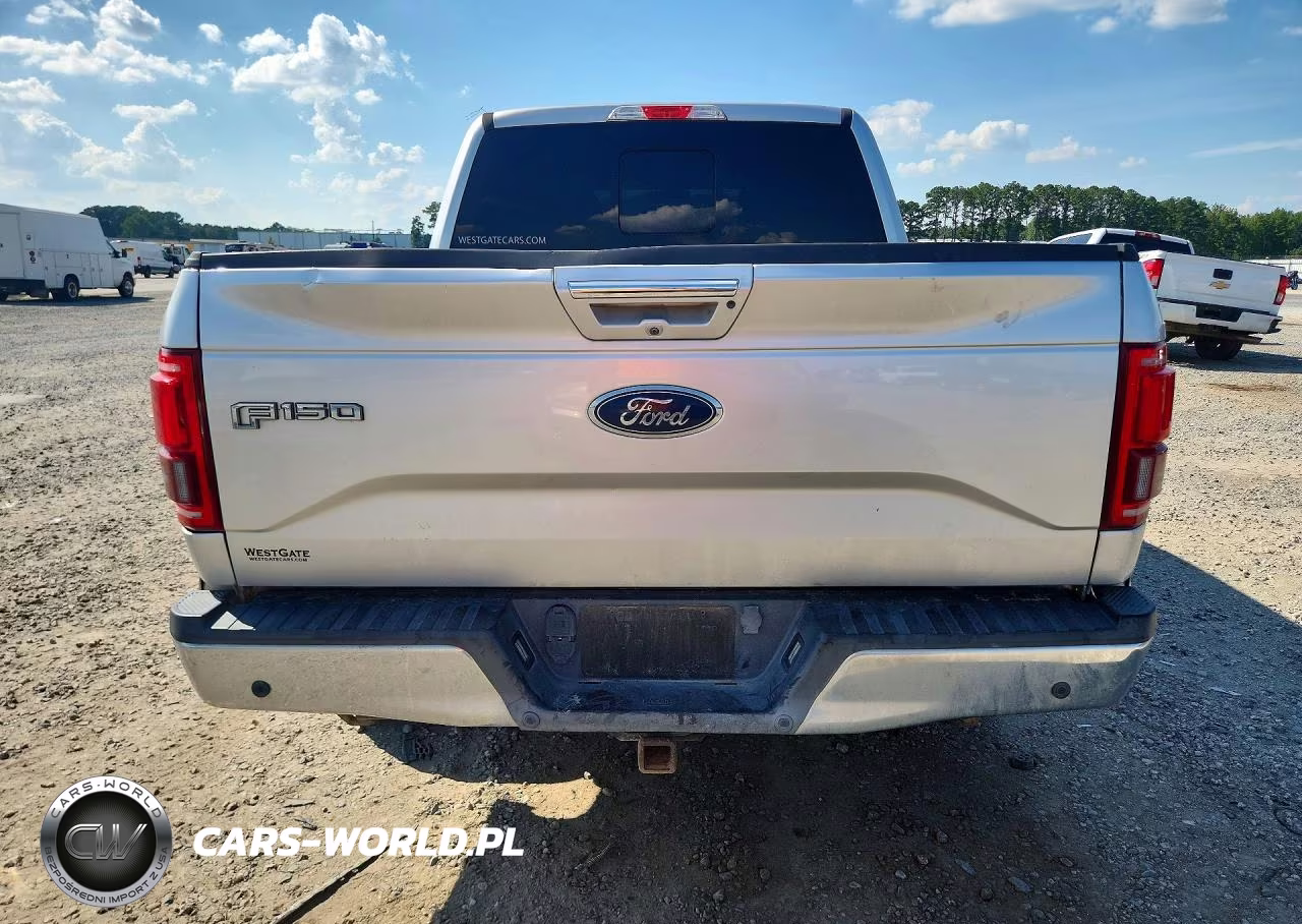 2017 Ford F150 Supercrew VIN:1FTEW1EG9HFB98828 - 6