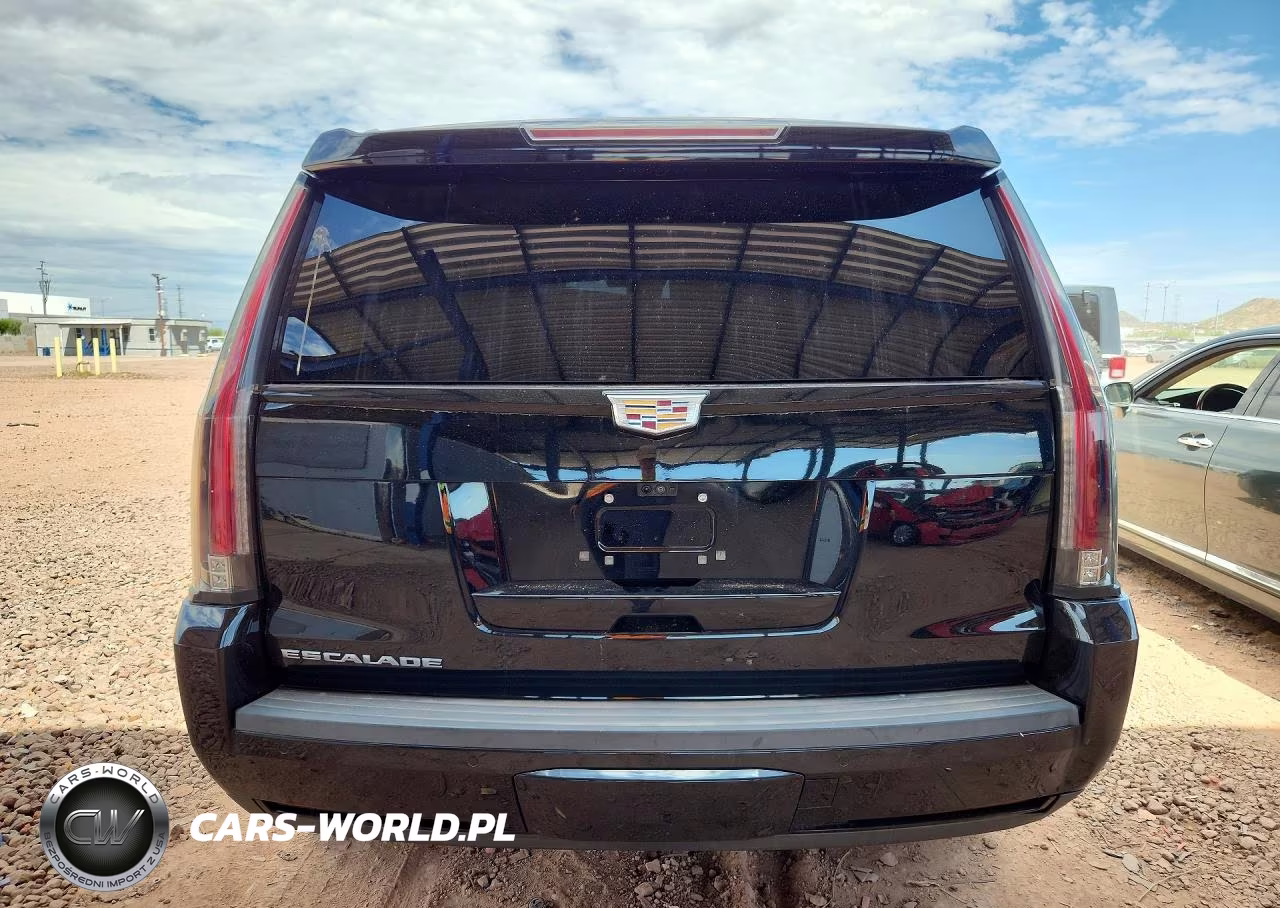 2020 Cadillac Escalade Luxury VIN:1GYS3BKJ6LR288053 - 6