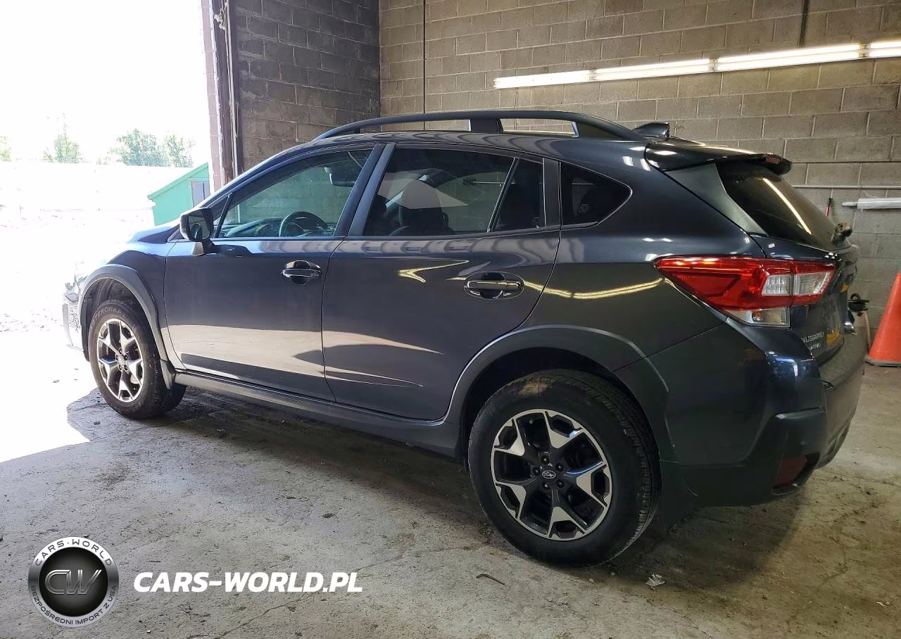 2019 Subaru Crosstrek Premium VIN:JF2GTAEC3K8391603 - 2