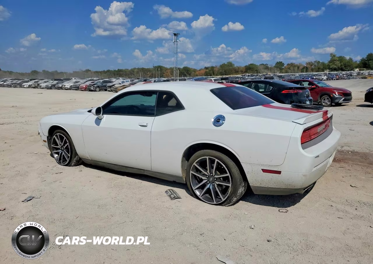 2014 Dodge Challenger Rallye Redline VIN:2C3CDYAG5EH111954 - 2