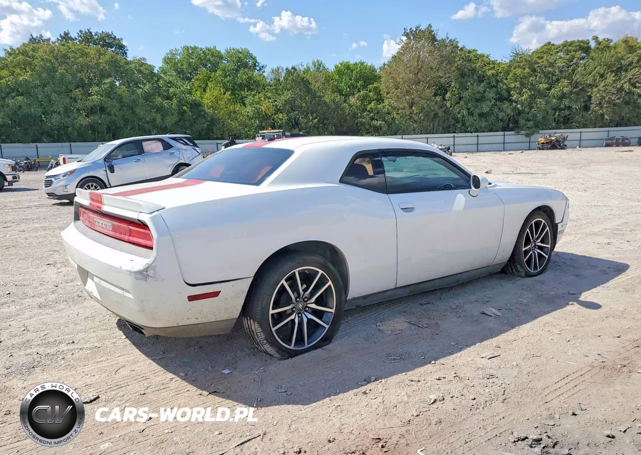 2014 Dodge Challenger Rallye Redline VIN:2C3CDYAG5EH111954 - 3
