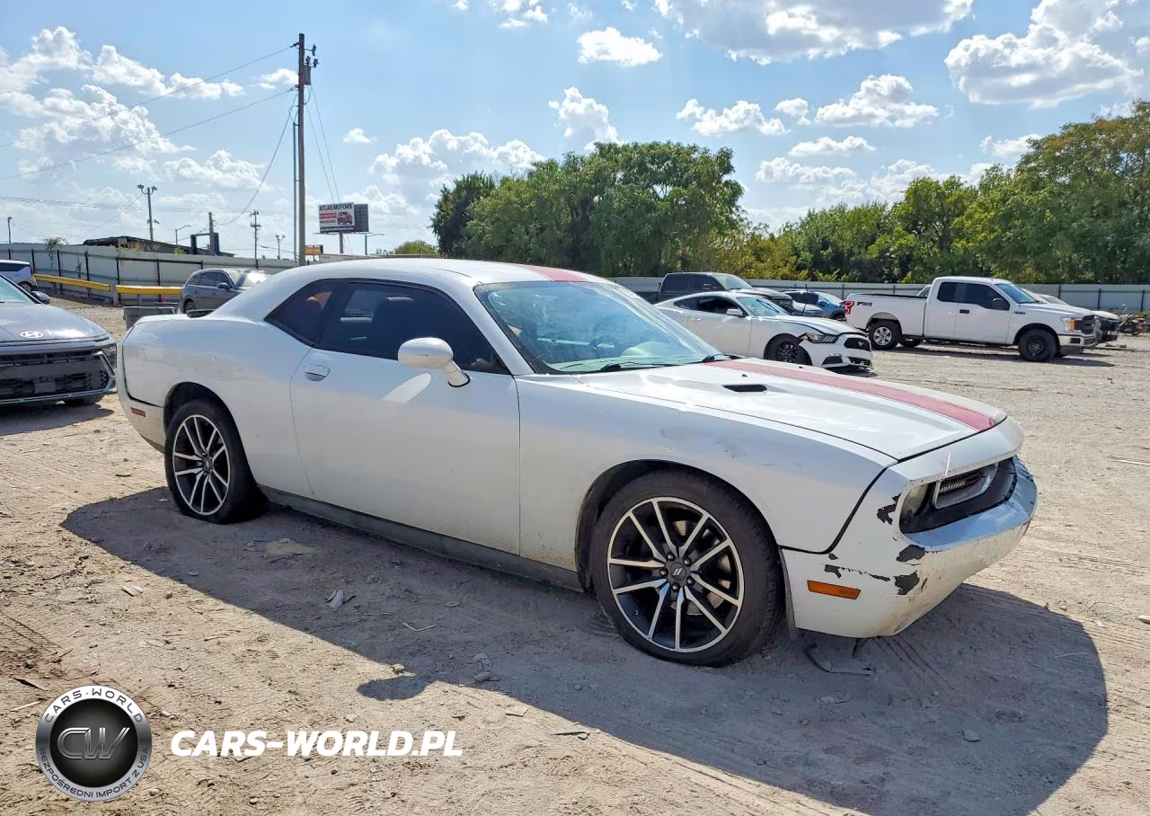2014 Dodge Challenger Rallye Redline VIN:2C3CDYAG5EH111954 - 4